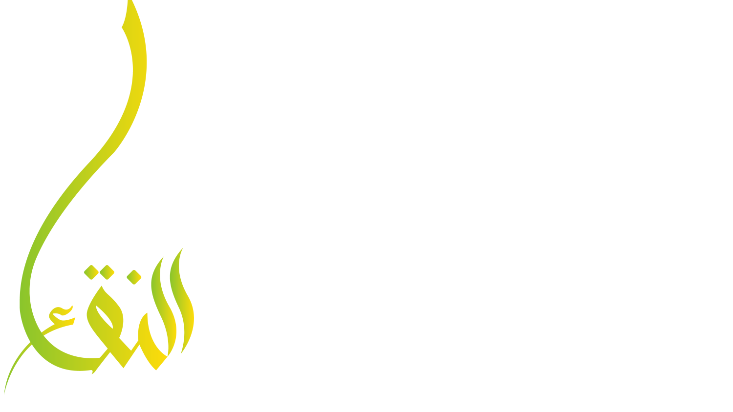 Al Naqaa Store