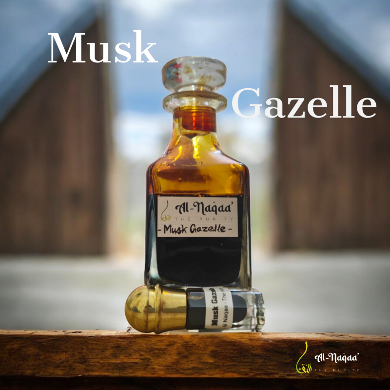 Musk Gazelle